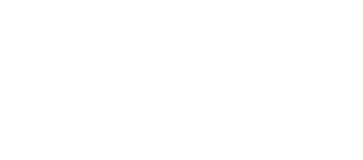 Роман в законе