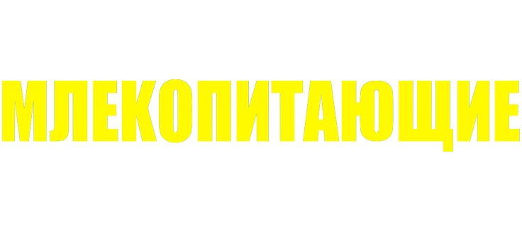 Млекопитающие