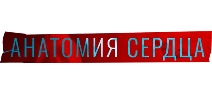 Анатомия сердца