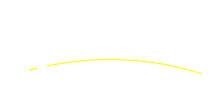 История дельфина: Каникулы на Багамах