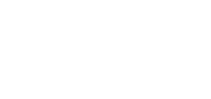 Завещание Анны Ли