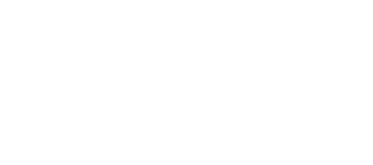 Шеф 3. Новая жизнь