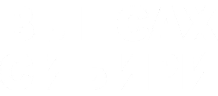 В лесах Сибири