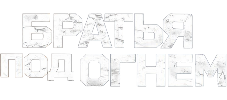 Братья под огнём