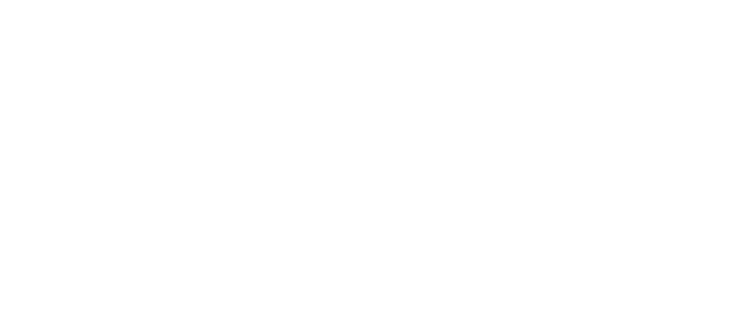 Тайный аудит
