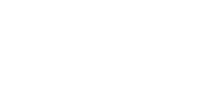 Виргин Ривер