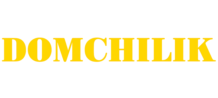 Domchilik
