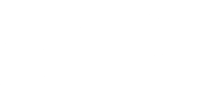 Пропеллер: Ночной рейс в один конец