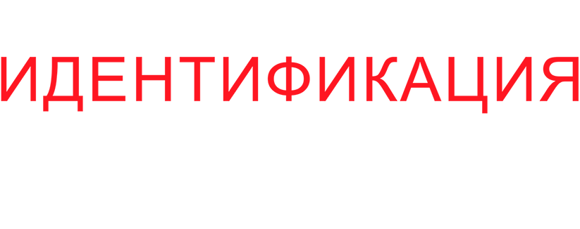Идентификация Борна