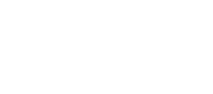 Гонка жизни