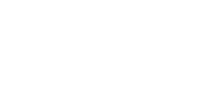Клан «Чёрная вдова»