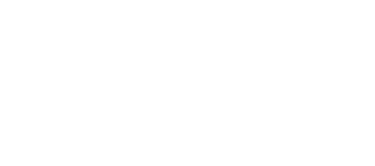 Последний портрет