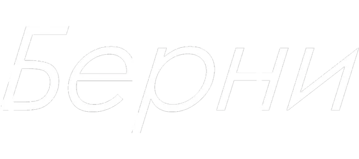 Берни