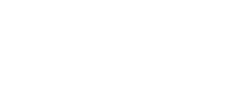 Дикий драйв