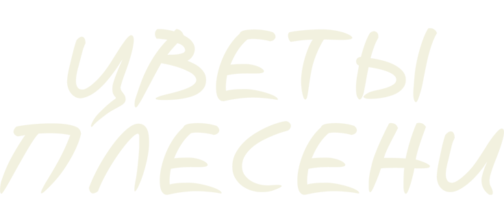 Цветы плесени