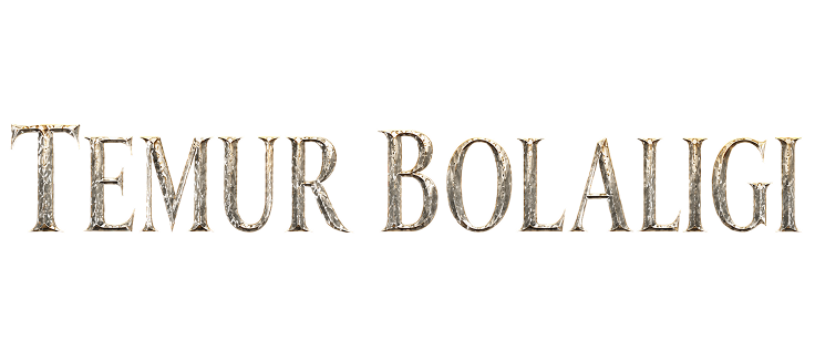 Amir Temur Bolaligi