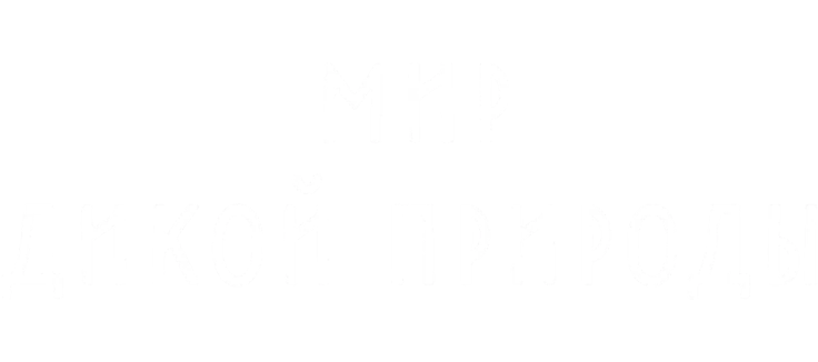 Мир дикой природы
