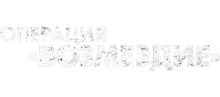 Операция «Возмездие»