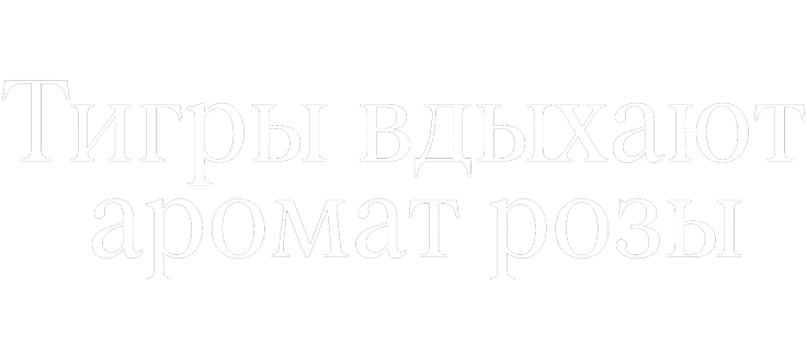 Тигры вдыхают аромат розы