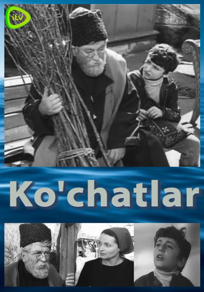 Ko'chatlar