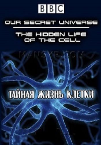 Тайная Вселенная. Путешествие внутрь клетки