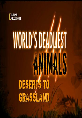 Самые опасные животные: От пустыни до саванны