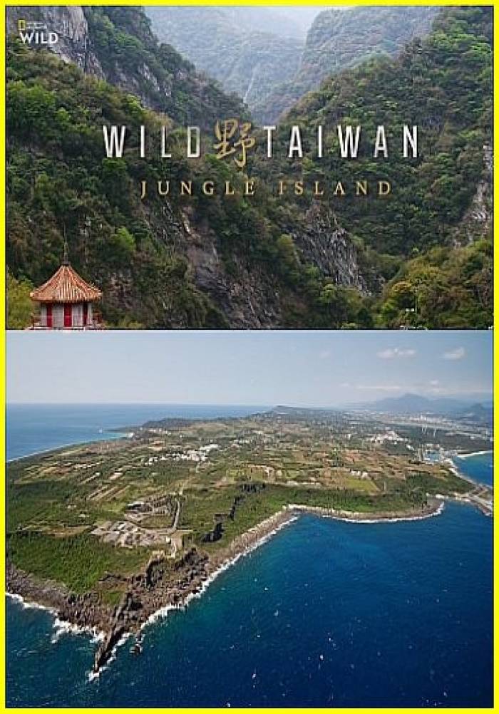 Дикая природа Тайваня: остров джунглей