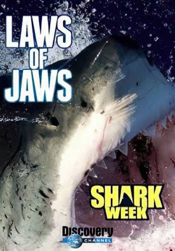 Законы акульего мира