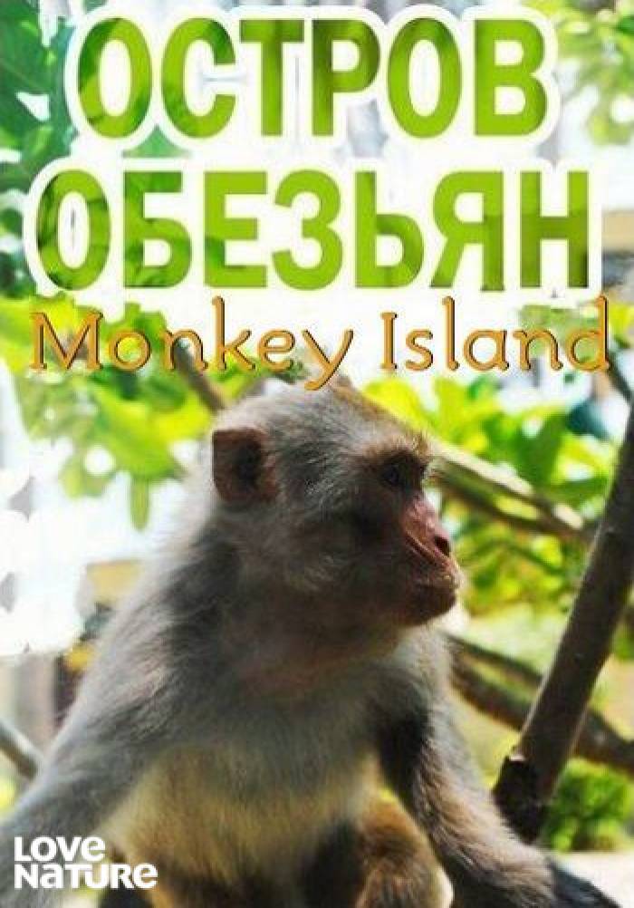 Остров обезьян