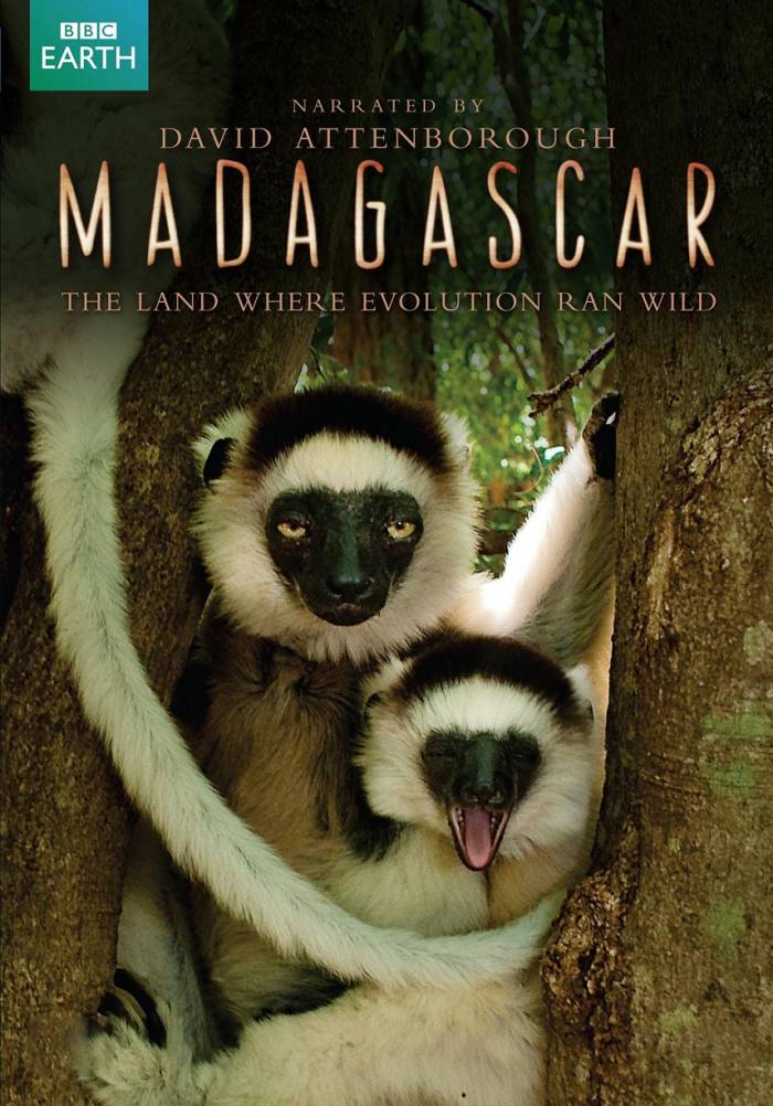 Мадагаскар: Земля, где эволюция шла своим путём