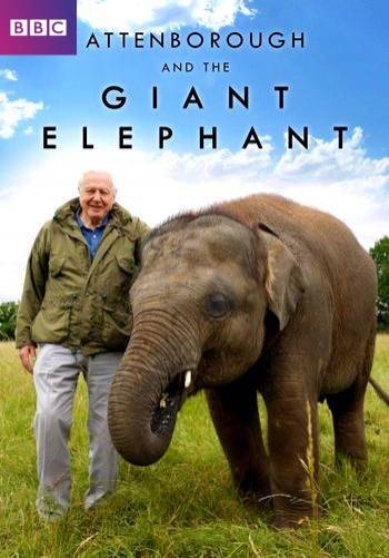 Аттенборо и Гигантский Слон