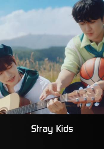 The View - Stray Kids