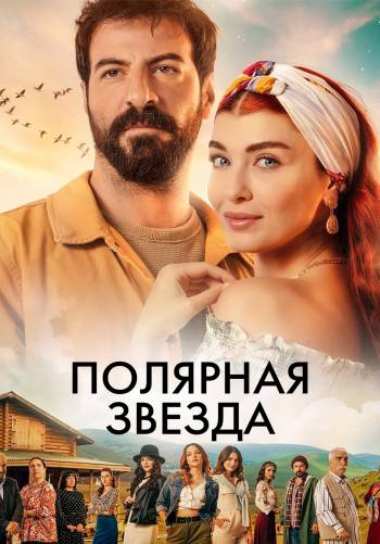 Полярная звезда