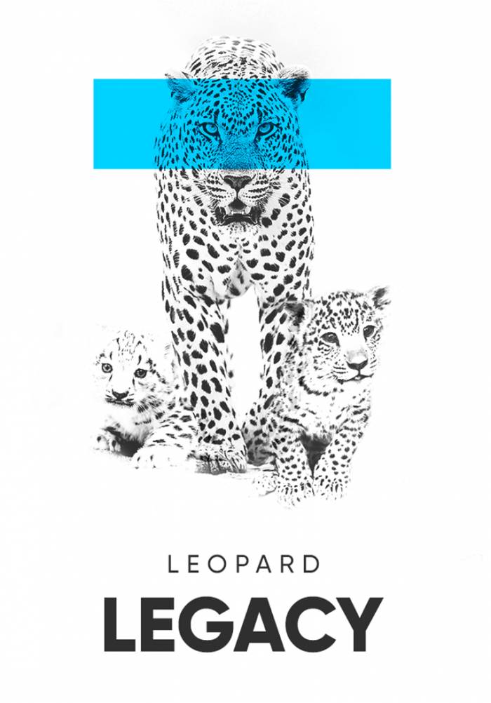 Наследие леопарда