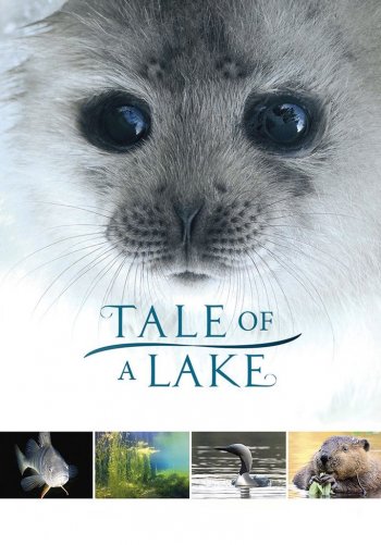 Сказка озера