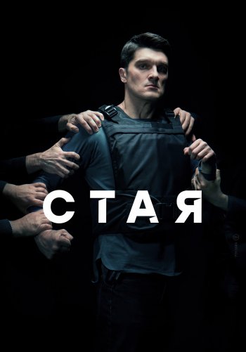 Стая (НТВ)