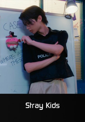 CASE 143 - Stray Kids