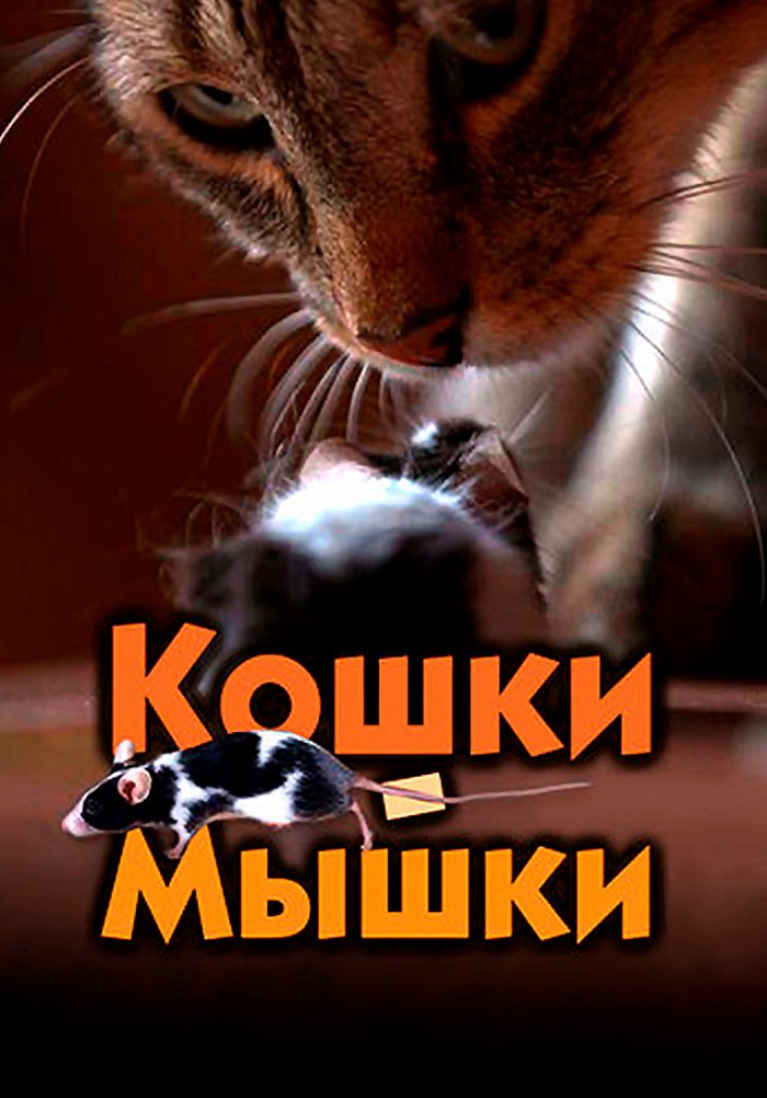 Кошки-мышки