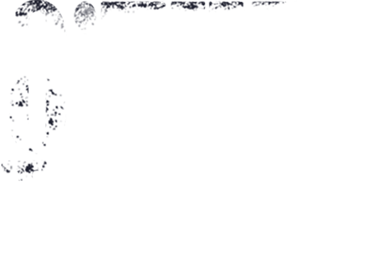 O'tkir tig'lilar
