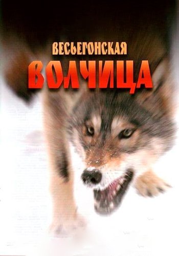 Весьегонская волчица