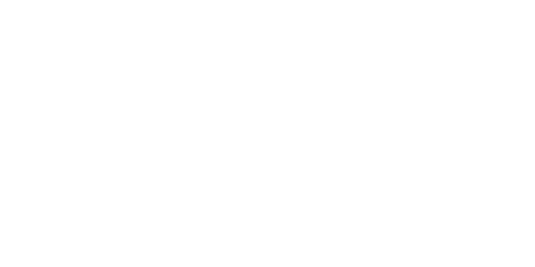 Незлобин. Концерт Рига-Москва