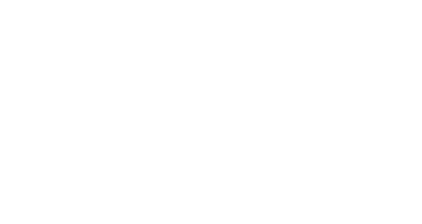 Mirror Mirror