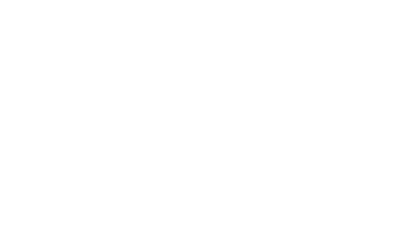 Рогов в городе