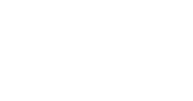 Рогов в деле