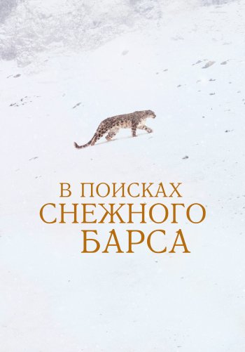 В поисках снежного барса