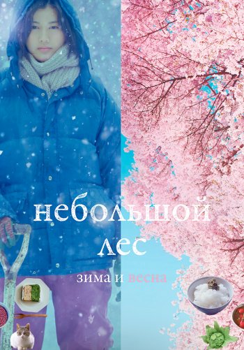 Небольшой лес: Зима и весна