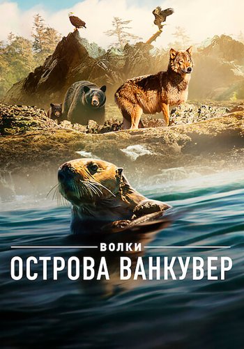 Волки острова Ванкувер