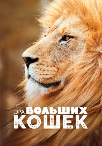 Эра больших кошек