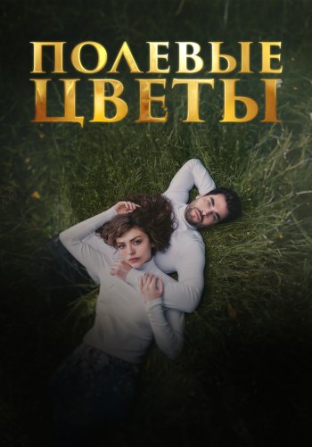 Полевые цветы