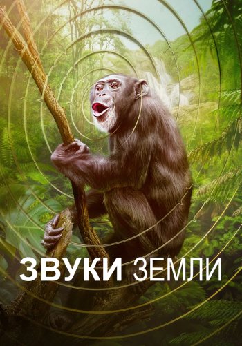 Звуки Земли
